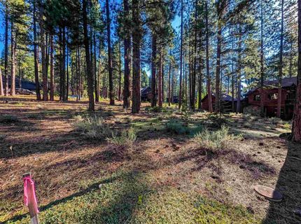 11561 Bottcher Loop, Truckee, CA 96161 Photo
