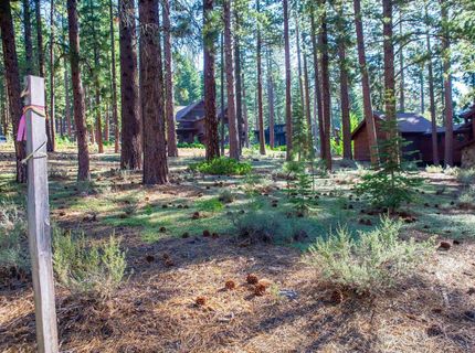 11561 Bottcher Loop, Truckee, CA 96161 Photo