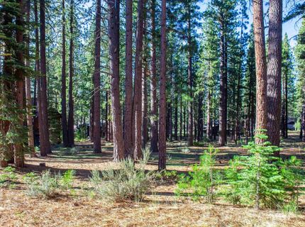 11561 Bottcher Loop, Truckee, CA 96161 Photo