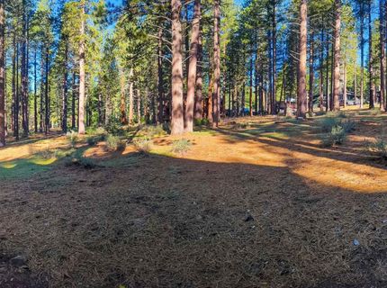 11561 Bottcher Loop, Truckee, CA 96161 Photo