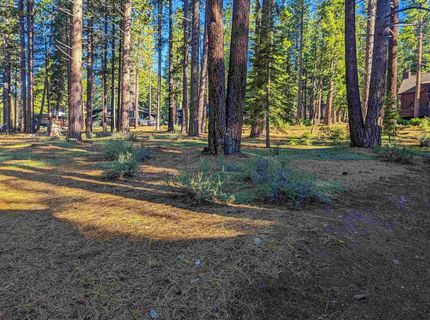 11561 Bottcher Loop, Truckee, CA 96161 Photo