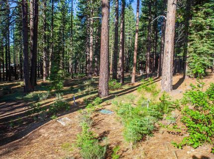 11561 Bottcher Loop, Truckee, CA 96161 Photo