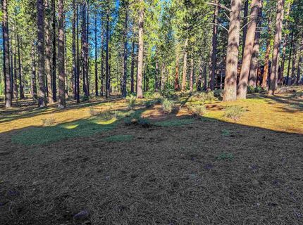 11561 Bottcher Loop, Truckee, CA 96161 Photo