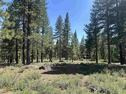 11651 Bottcher Loop, Truckee, CA 96161 Photo