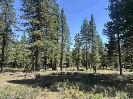 11651 Bottcher Loop, Truckee, CA 96161 Photo