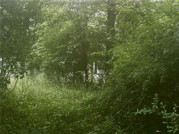 0 Wells Lock Road, Elizabeth, WV 26143