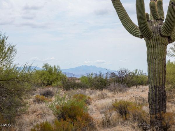 141XX E Rancho Del Oro Court, Unit -, Scottsdale, AZ 85262
