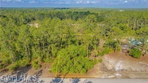 2109 Irving Ave, Alva, FL 33920 Photo