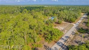 2109 Irving Ave, Alva, FL 33920 Photo