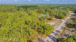 2109 Irving Ave, Alva, FL 33920 Photo