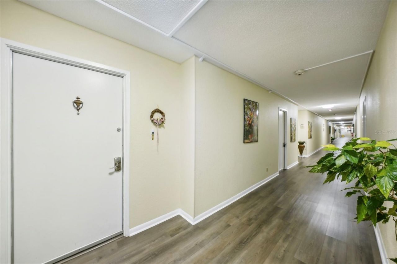 7400 Sun Island Drive S, Unit 802, South Pasadena, FL 33707 Photo