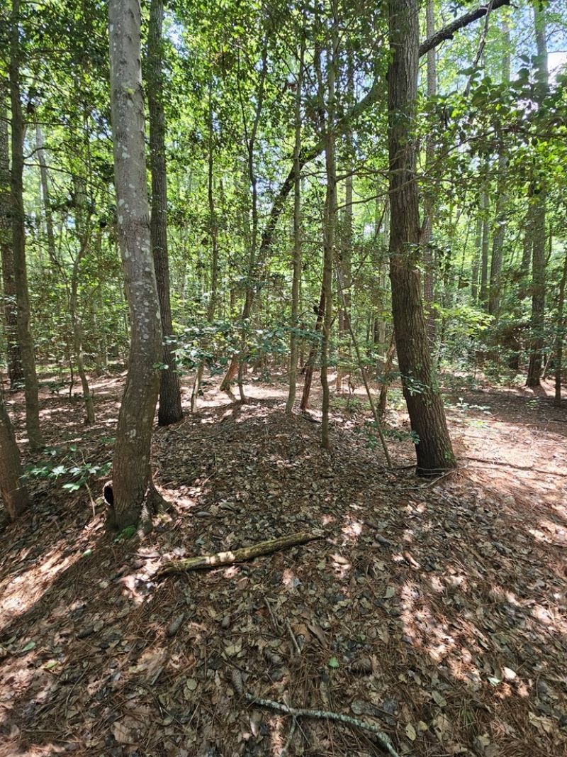 Lot 67 Cubitt Creek Rd, Heathsville, VA 22473 Main Photo