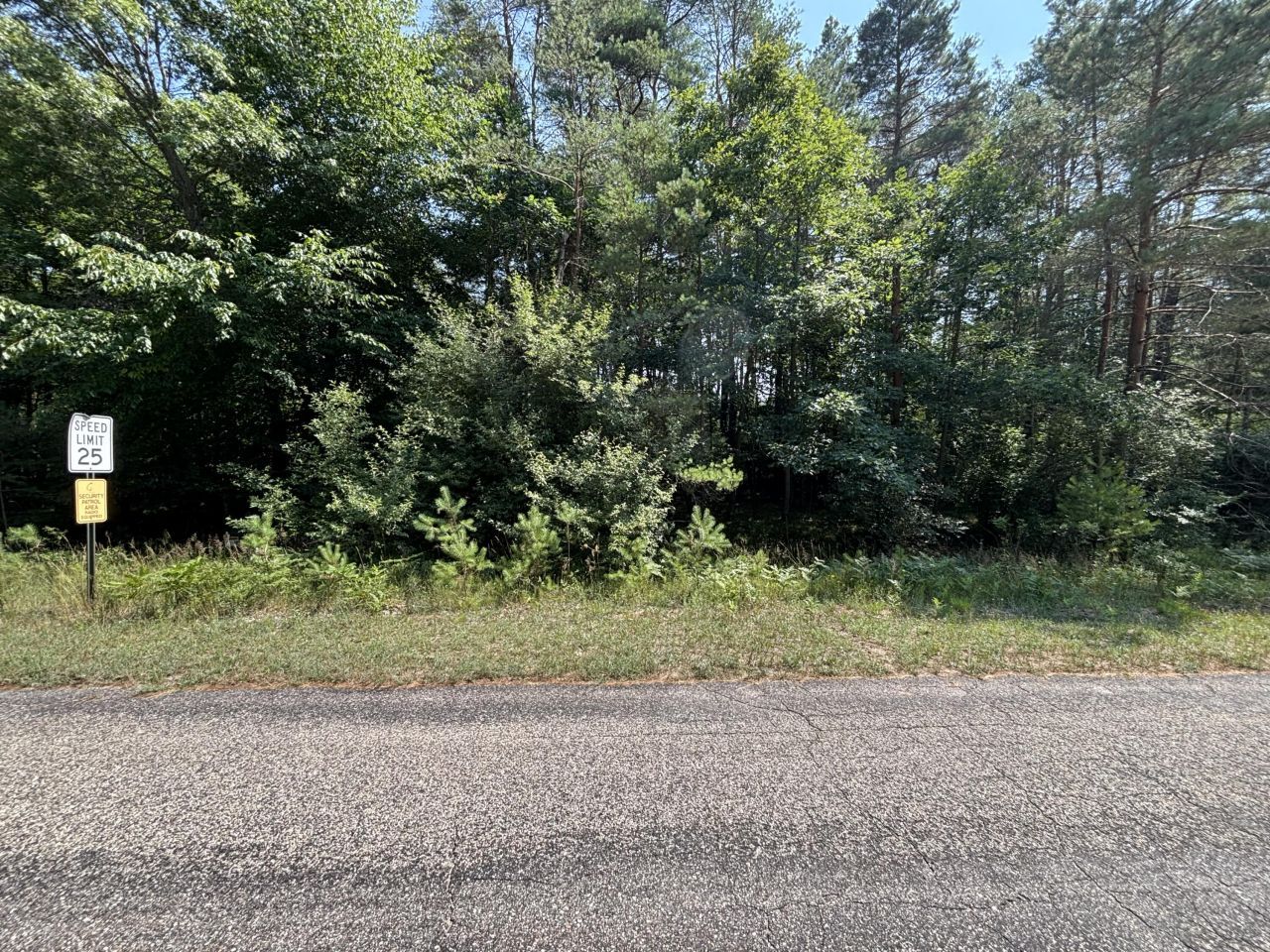 10951 Dobbyn Drive, Lot ##51, Canadian Lakes, MI 49346 Main Photo