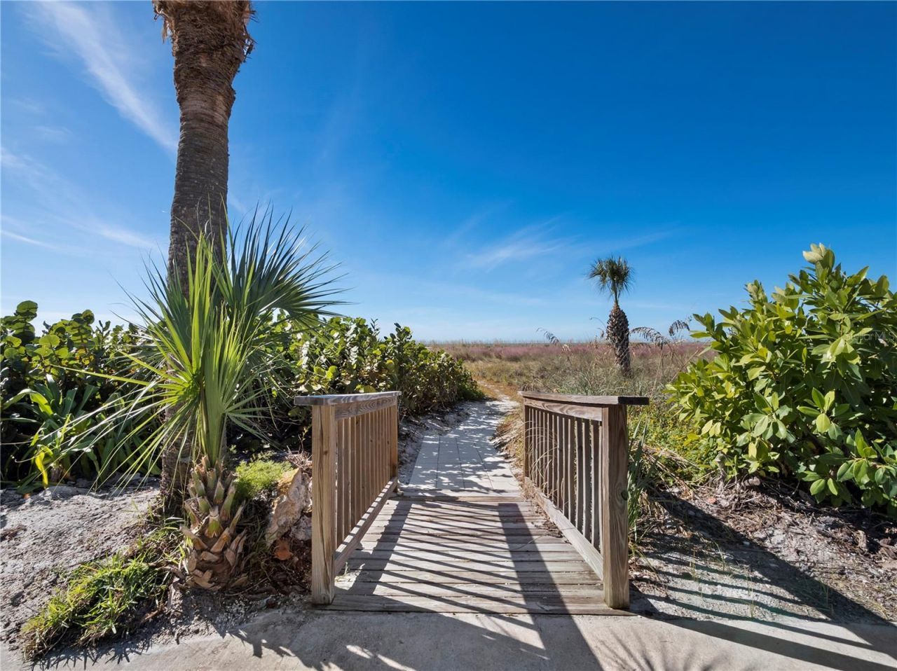 6925 Gulf Of Mexico Drive, Unit 24, Longboat Key, FL 34228 Photo