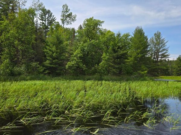 TBD 40 N Rollick Creek, Crane Lake, MN 55725