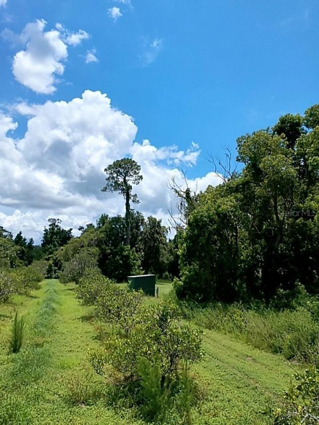 No Street, De Leon Springs, FL 32130 Photo