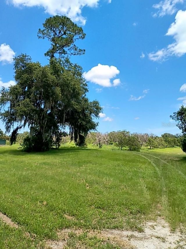 No Street, De Leon Springs, FL 32130 Photo