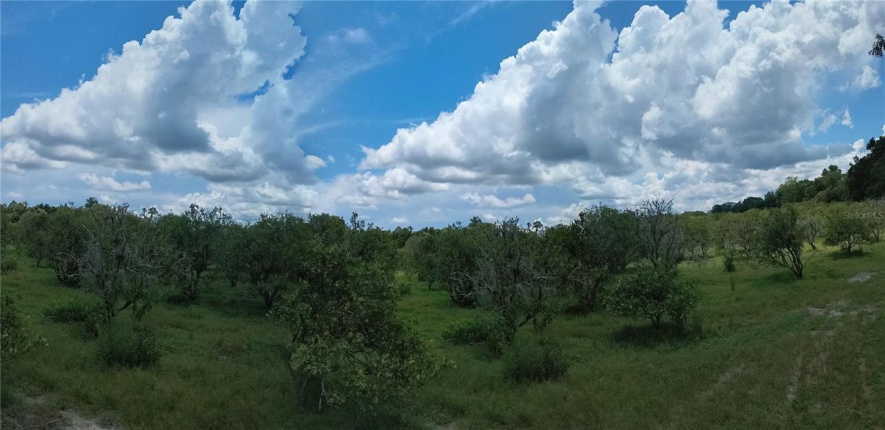 No Street, De Leon Springs, FL 32130 Photo