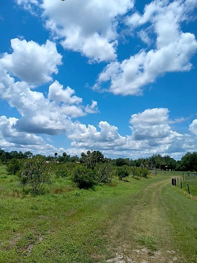 No Street, De Leon Springs, FL 32130 Photo