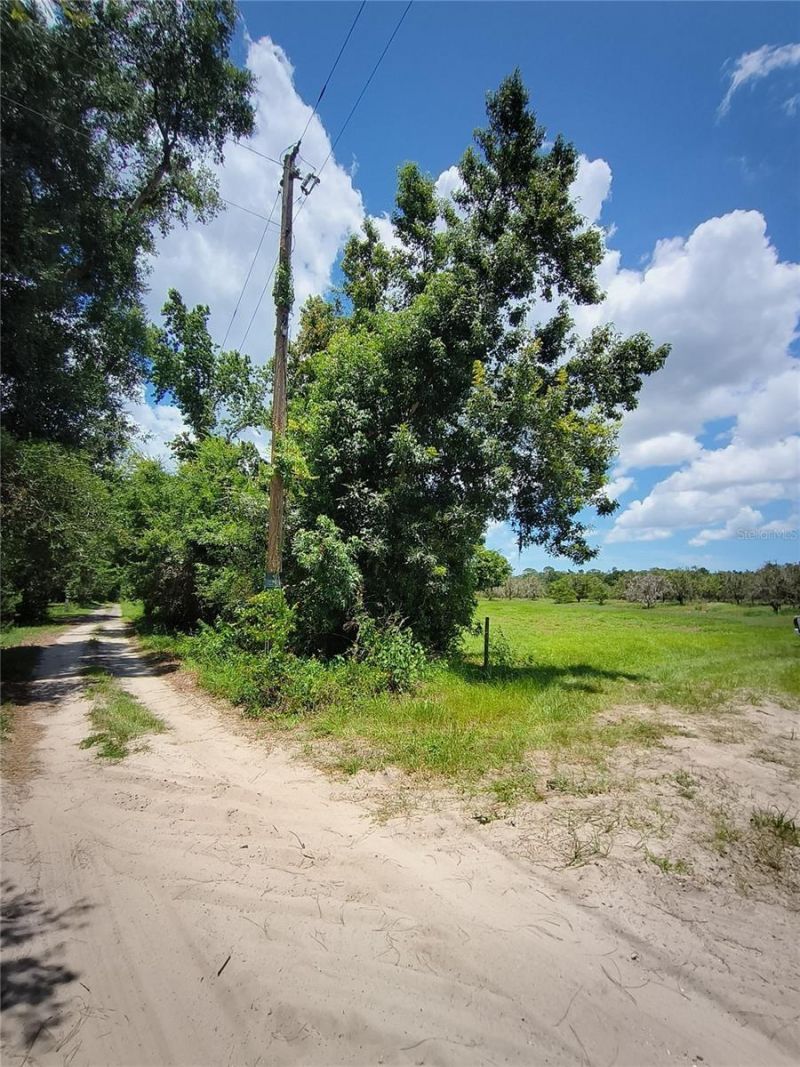 No Street, De Leon Springs, FL 32130 Photo
