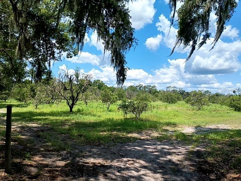 No Street, De Leon Springs, FL 32130 Photo