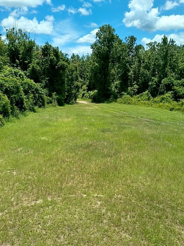 No Street, De Leon Springs, FL 32130 Photo