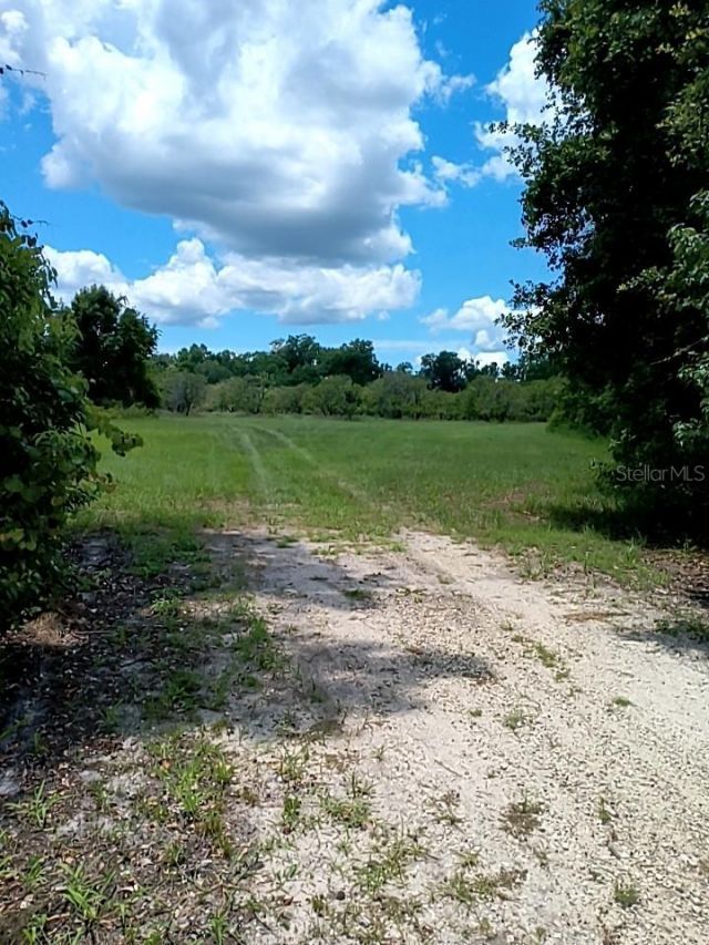 No Street, De Leon Springs, FL 32130 Photo