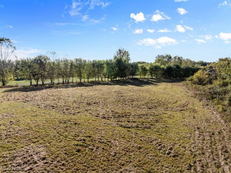 5913 Stuckey Road, Creston, OH 44217 Photo 15