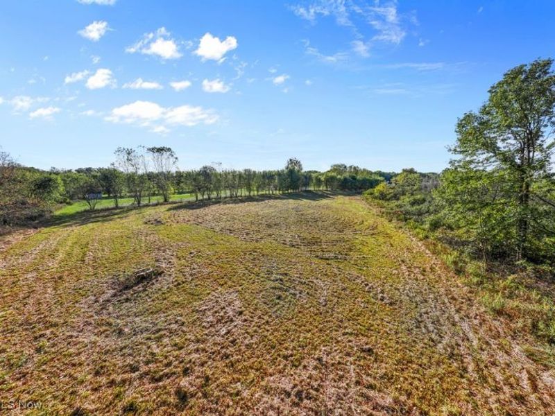 5913 Stuckey Road, Creston, OH 44217 Photo 17