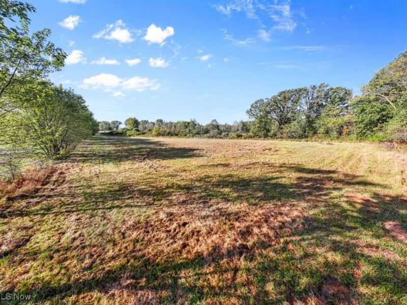 5913 Stuckey Road, Creston, OH 44217 Photo 18