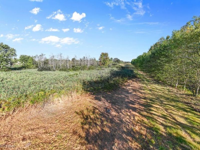 5913 Stuckey Road, Creston, OH 44217 Photo 7