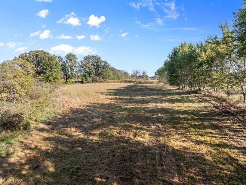 5913 Stuckey Road, Creston, OH 44217 Photo 8