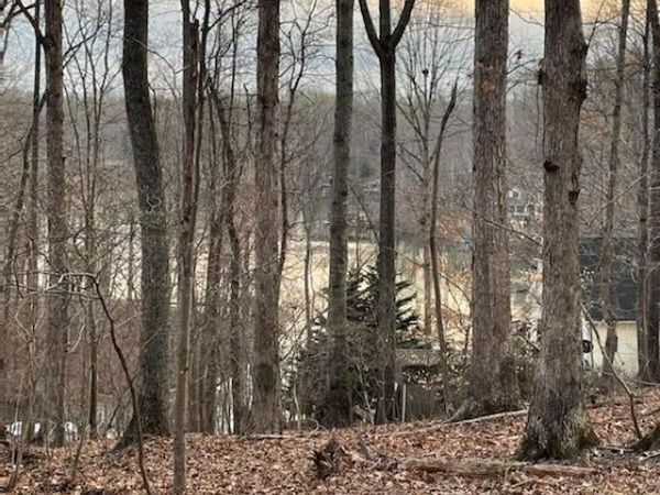 Lot 4 Charmwood CIR, Moneta, VA 24121