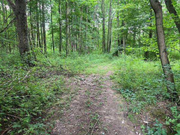 3+ /- Acres on 3+ /- Acres on PHELPS Road, Linesville, PA 16424