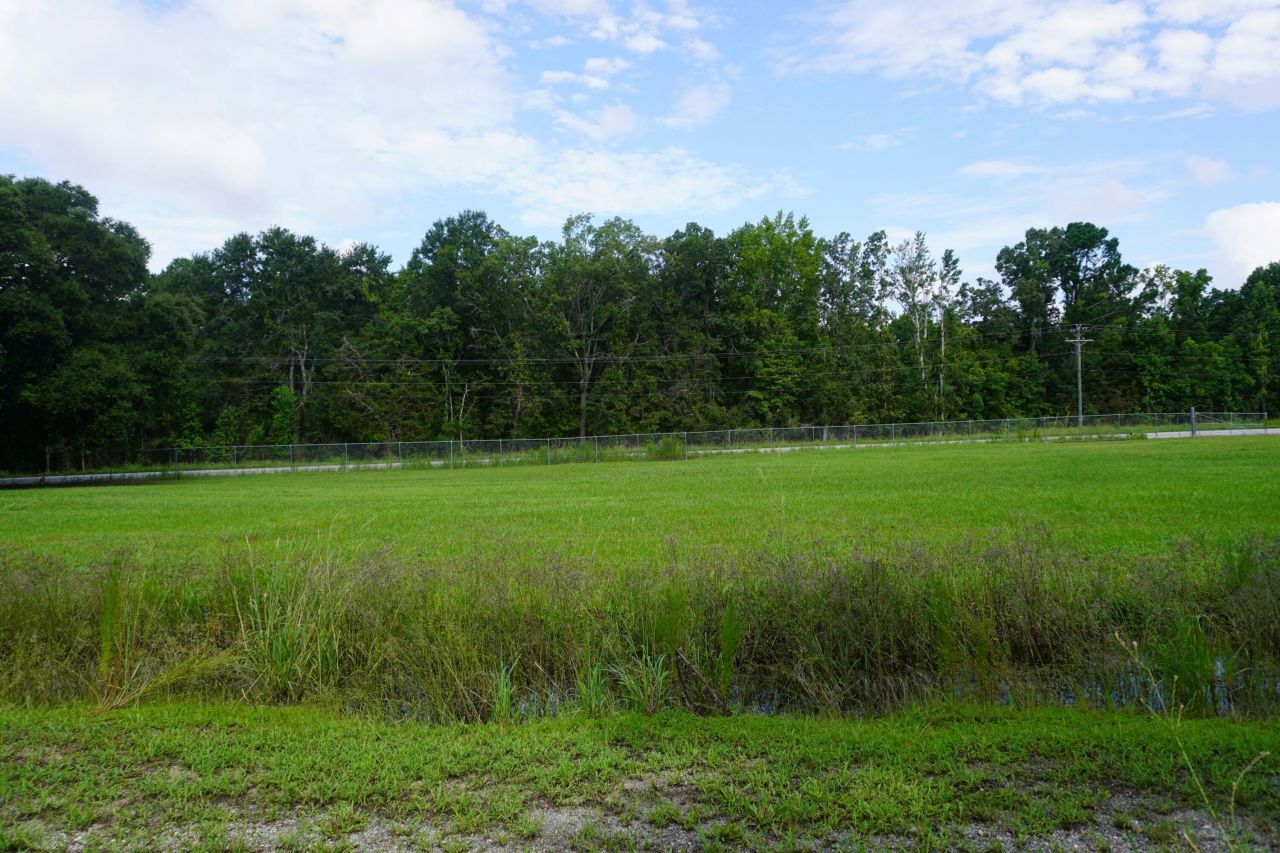 771 Brownswood Road Photo 11