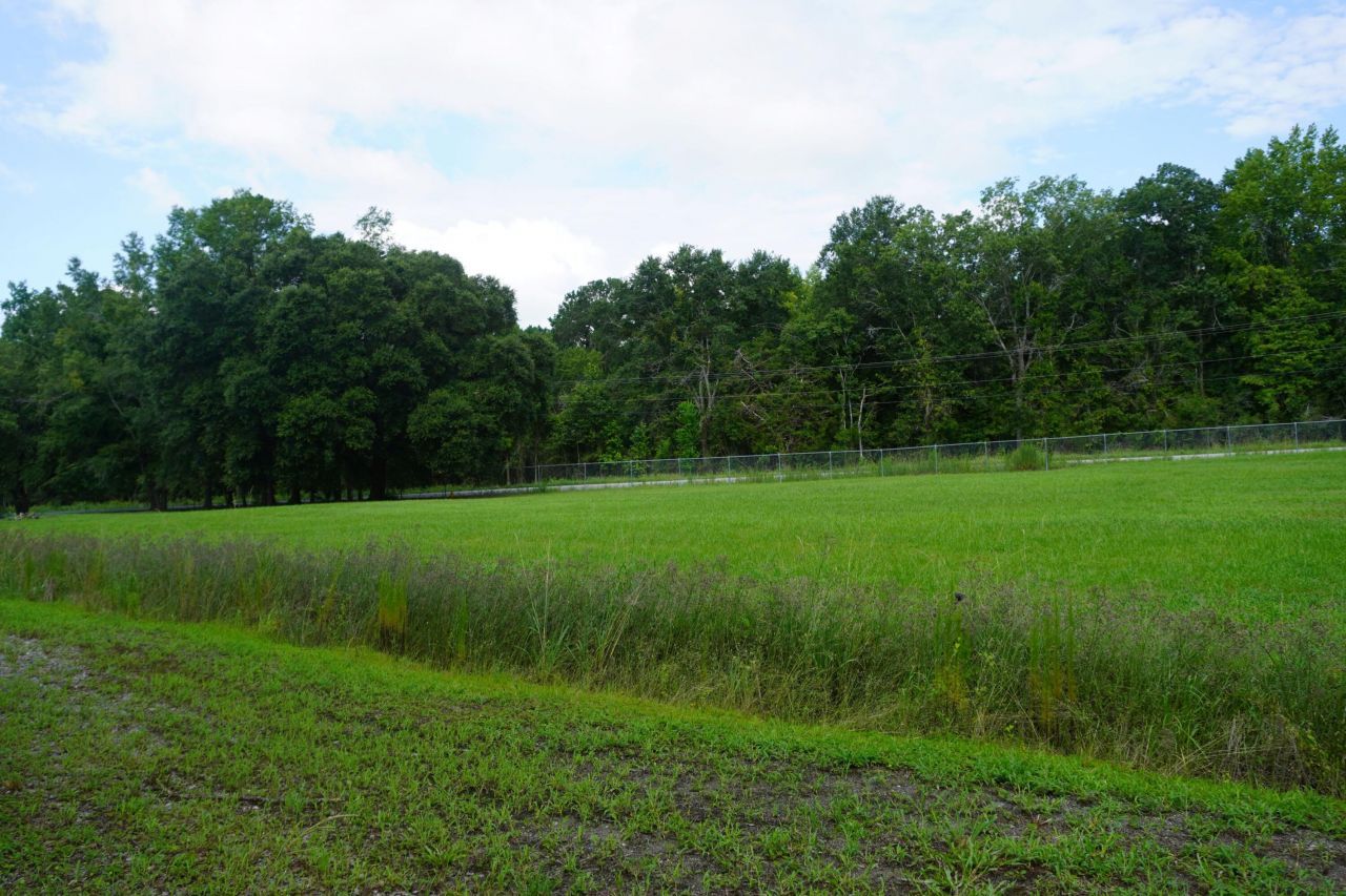 771 Brownswood Road Photo 8