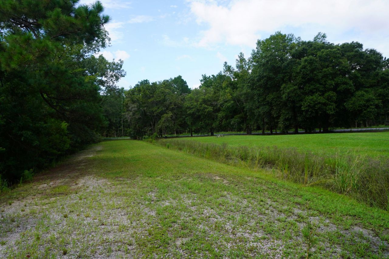 771 Brownswood Road Photo 9