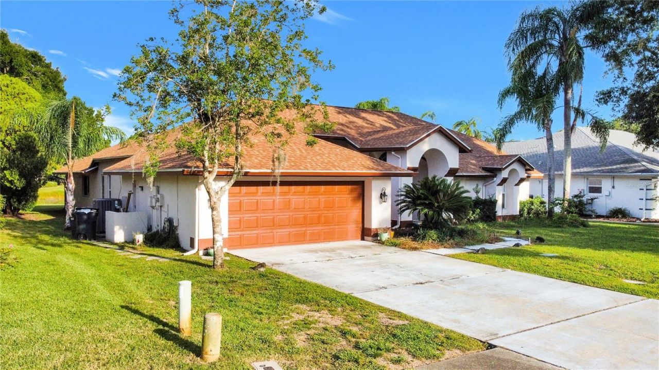 4535 Bardsdale Drive, Palm Harbor, FL 34685 Photo