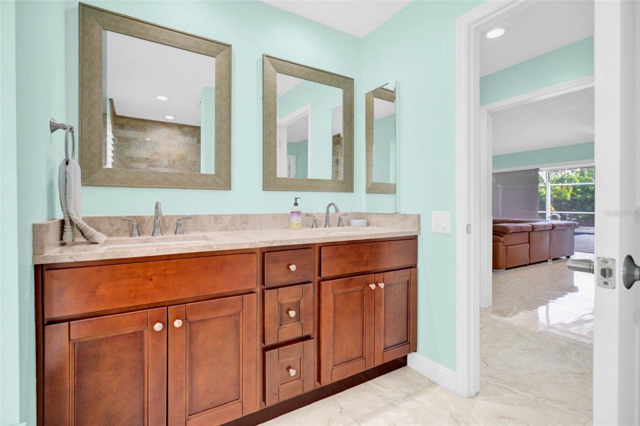 4535 Bardsdale Drive, Palm Harbor, FL 34685 Photo