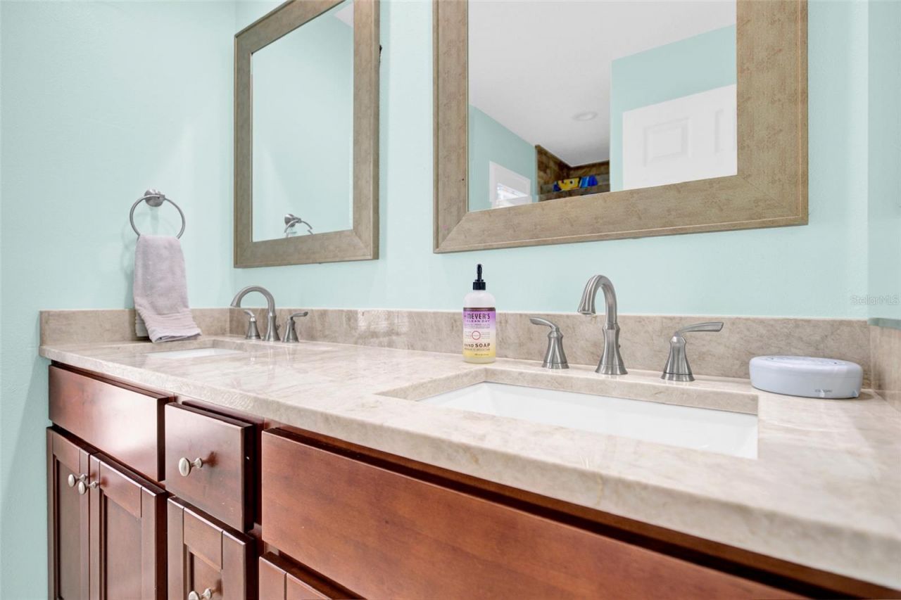 4535 Bardsdale Drive, Palm Harbor, FL 34685 Photo