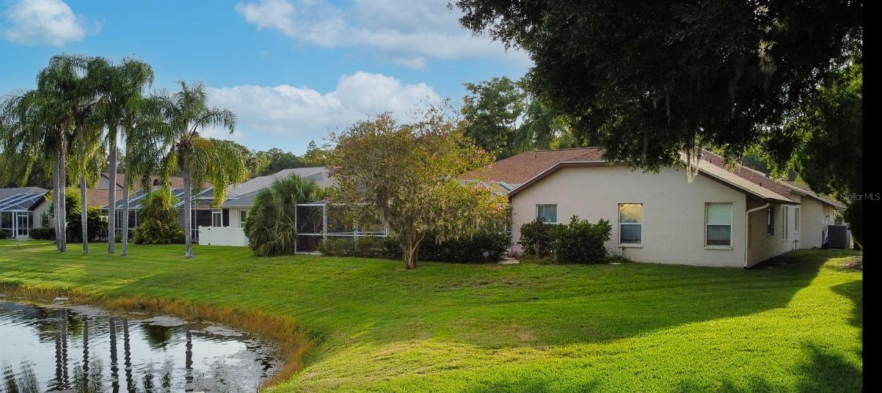 4535 Bardsdale Drive, Palm Harbor, FL 34685 Photo