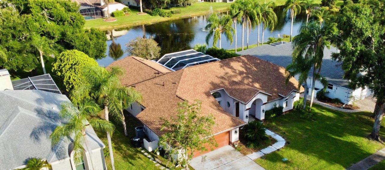 4535 Bardsdale Drive, Palm Harbor, FL 34685 Photo