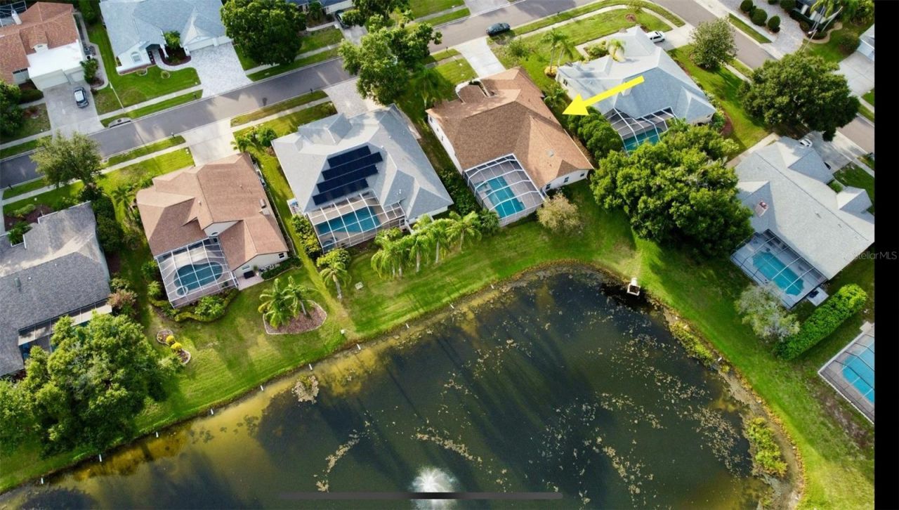 4535 Bardsdale Drive, Palm Harbor, FL 34685 Photo