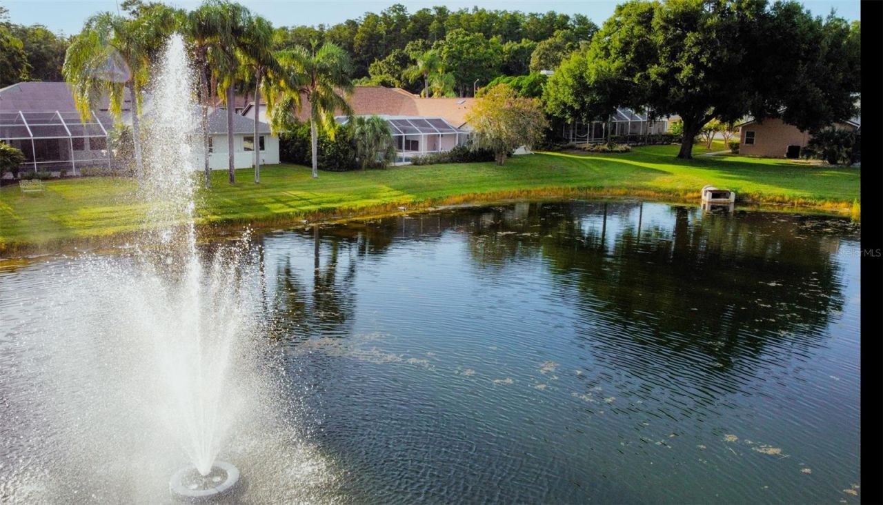 4535 Bardsdale Drive, Palm Harbor, FL 34685 Photo