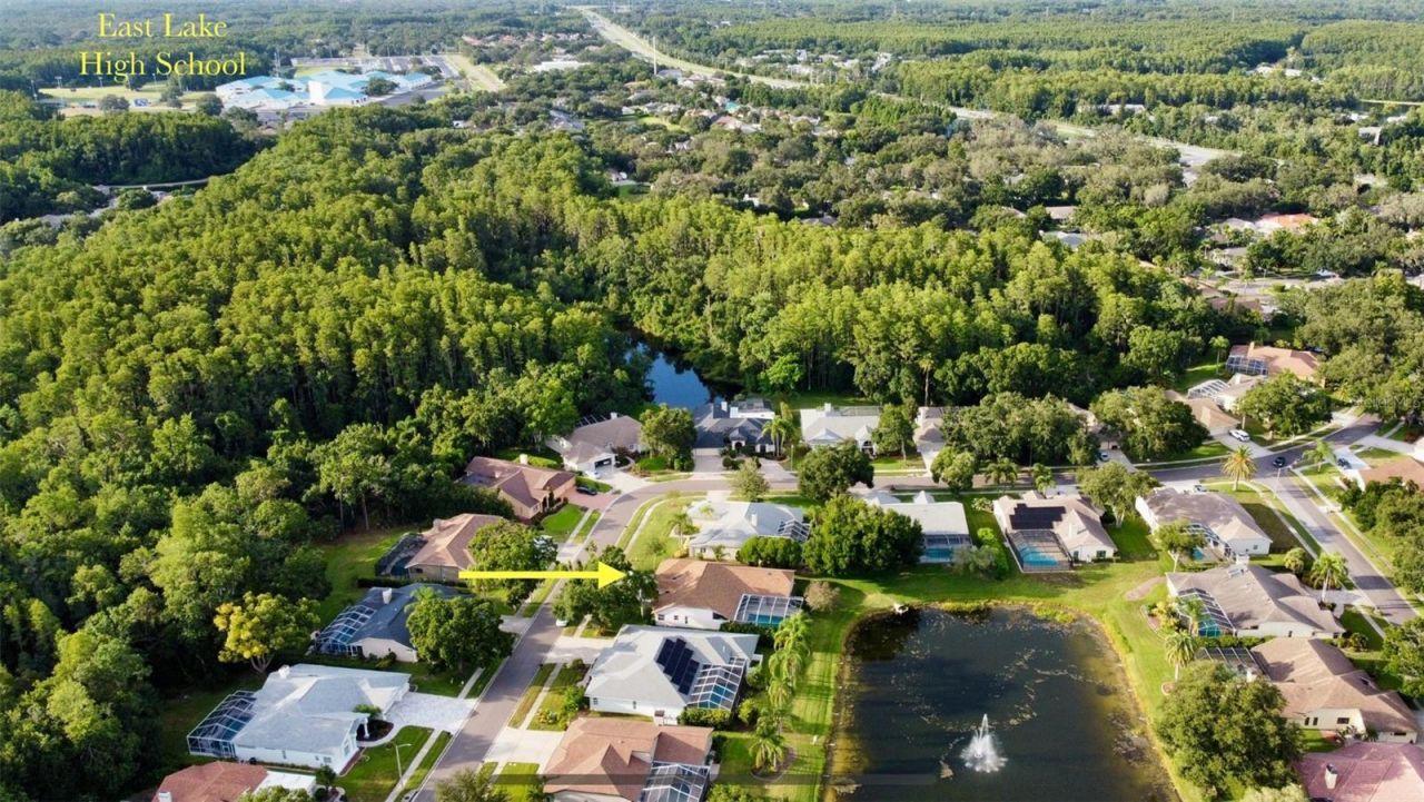 4535 Bardsdale Drive, Palm Harbor, FL 34685 Photo