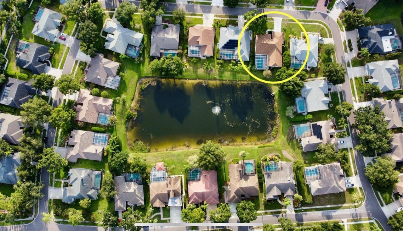 4535 Bardsdale Drive, Palm Harbor, FL 34685 Photo