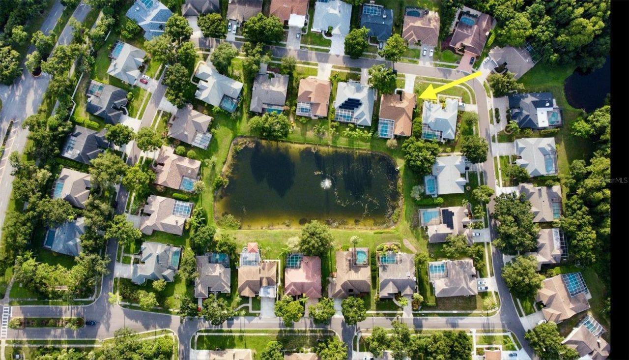 4535 Bardsdale Drive, Palm Harbor, FL 34685 Photo