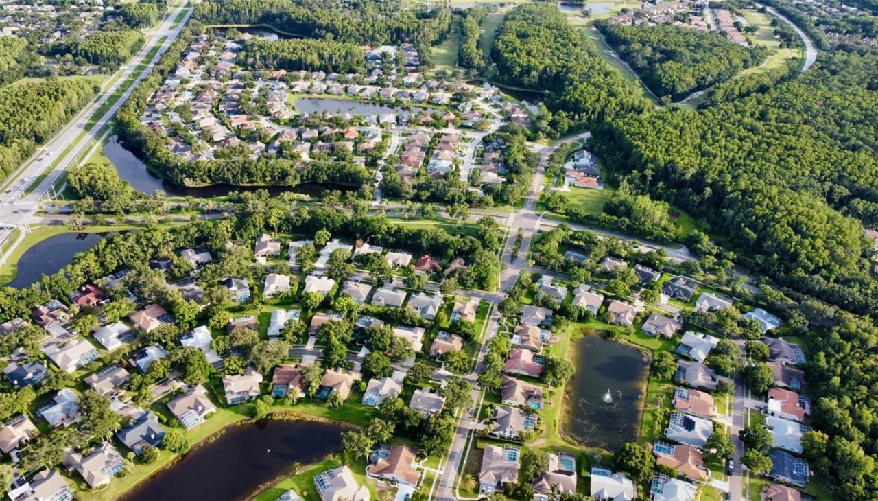 4535 Bardsdale Drive, Palm Harbor, FL 34685 Photo