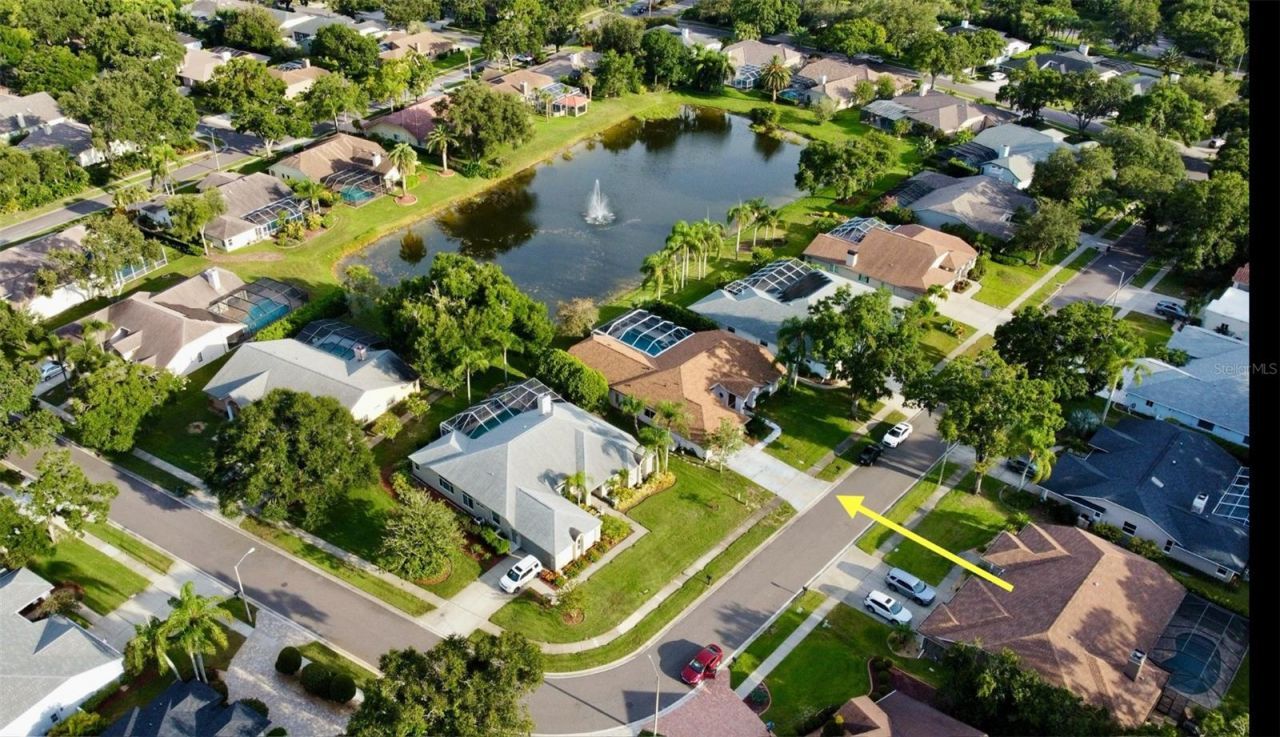 4535 Bardsdale Drive, Palm Harbor, FL 34685 Photo