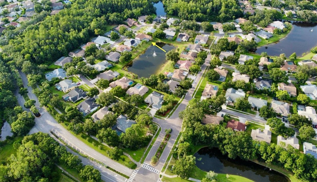 4535 Bardsdale Drive, Palm Harbor, FL 34685 Photo